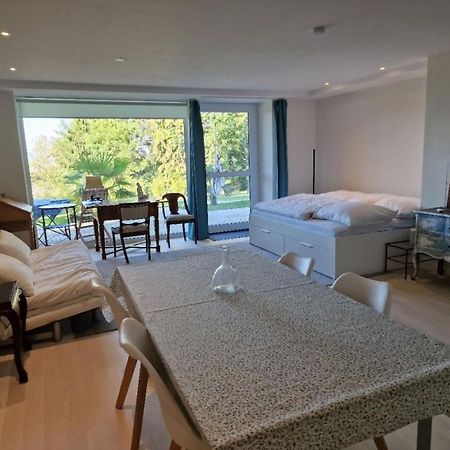 Bellavista Apartment Badenweiler Bagian luar foto