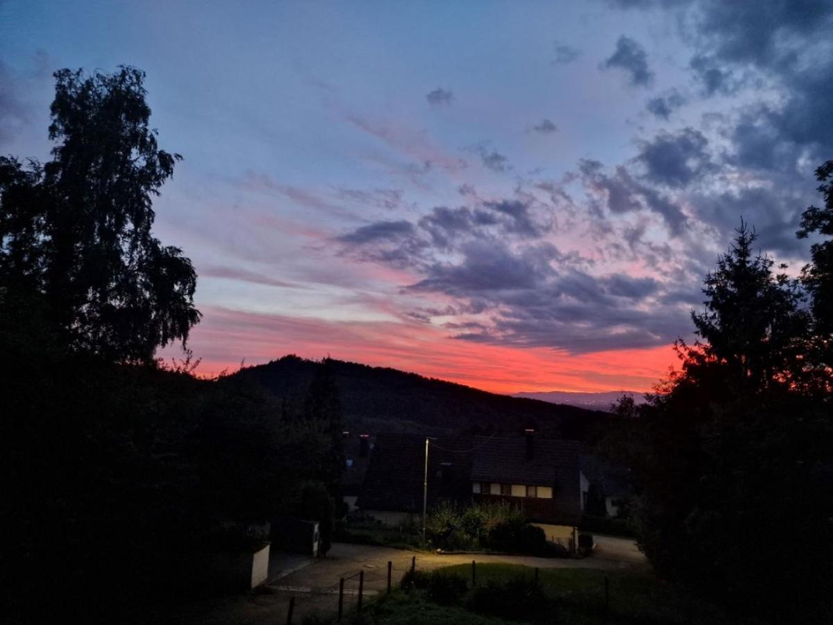 Bellavista Apartment Badenweiler Bagian luar foto